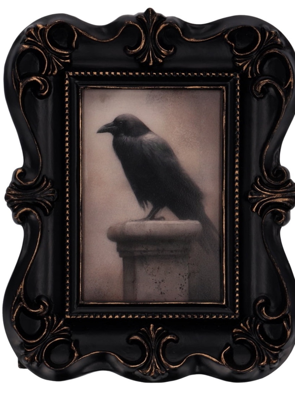 My Texas House Halloween Raven Framed Art Tabletop Decoration, Black, 8" × 10"